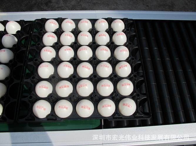 eggjet-5000-专业鸡蛋喷码机 喷码机设备 耗材厂家 完善售后-深圳市宏